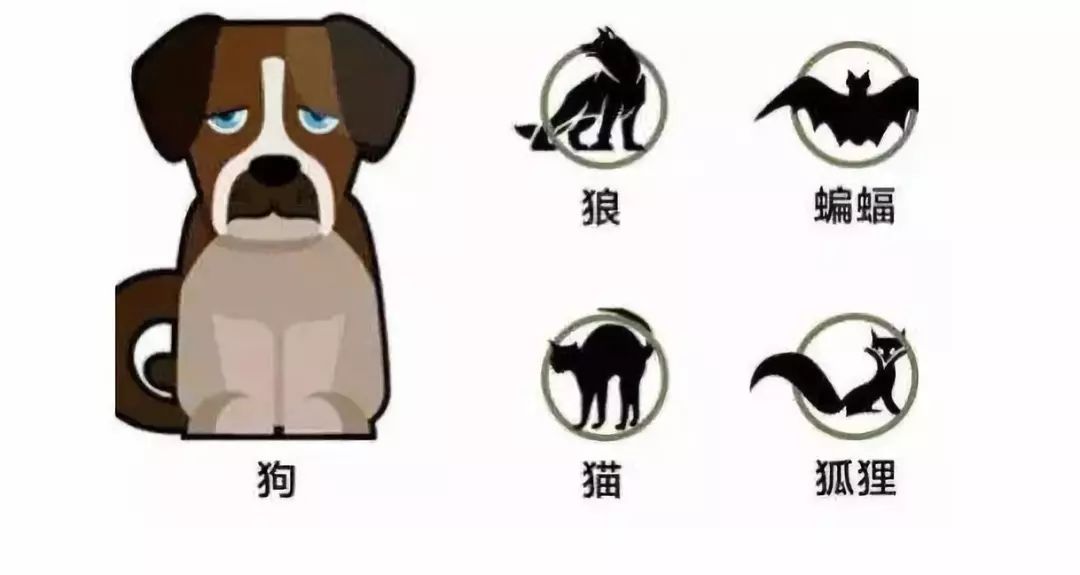 老鼠咬了要打疫苗吗多少钱一针,被老鼠咬了一定要打狂犬疫苗吗