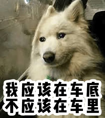 618大促钱包,618钱包保卫战