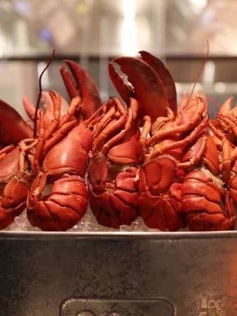 吃货雷达|美食新地标，丽都20家高颜值必打卡餐厅