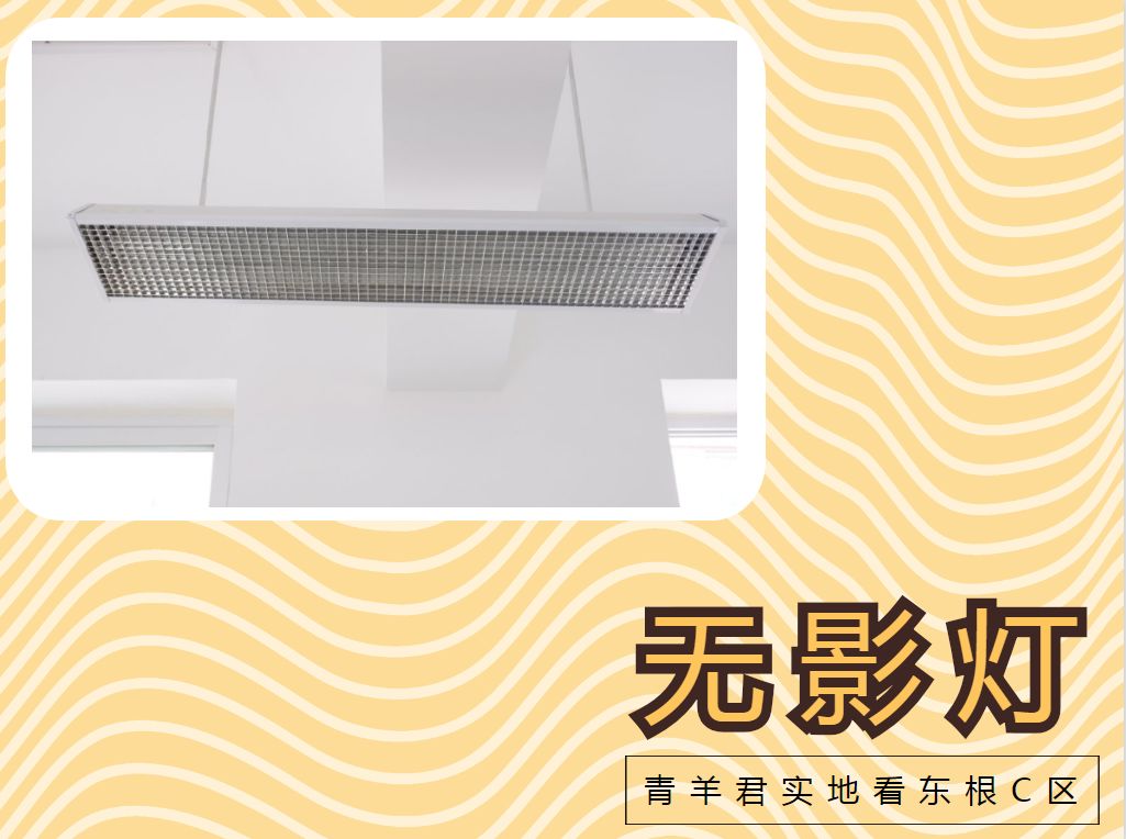 成都东城根街小学b区地址,成都东城根街小学靠谱吗