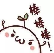 大邑县安仁足球队,大邑安仁镇学校足球队