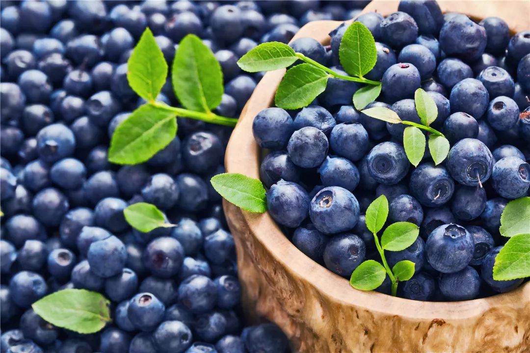 带肉类入境被罚,牛肉干处罚规定