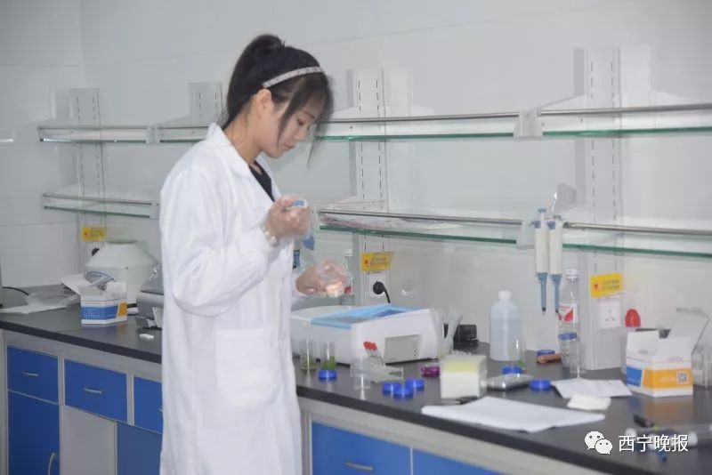 西宁城中区爱老幸福食堂地址,西宁城西区爱老幸福食堂中央厨房