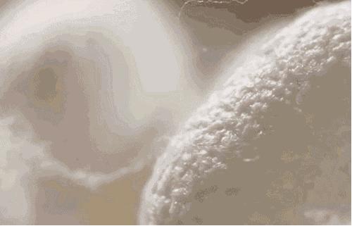 蚕丝被被曝光了！长期盖蚕丝被的人发生了惊人变化...没看的赶紧看看吧