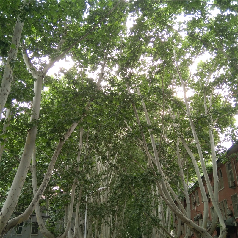 4000毫安电池红米手机,红米7与红米7a哪个值得购买