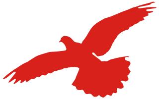 她们行在“和”之路上……