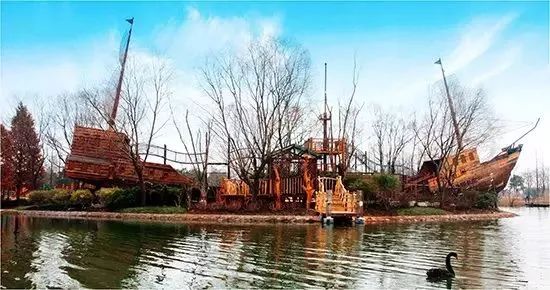 辰山植物园最近有什么活动,动植物园夏令营