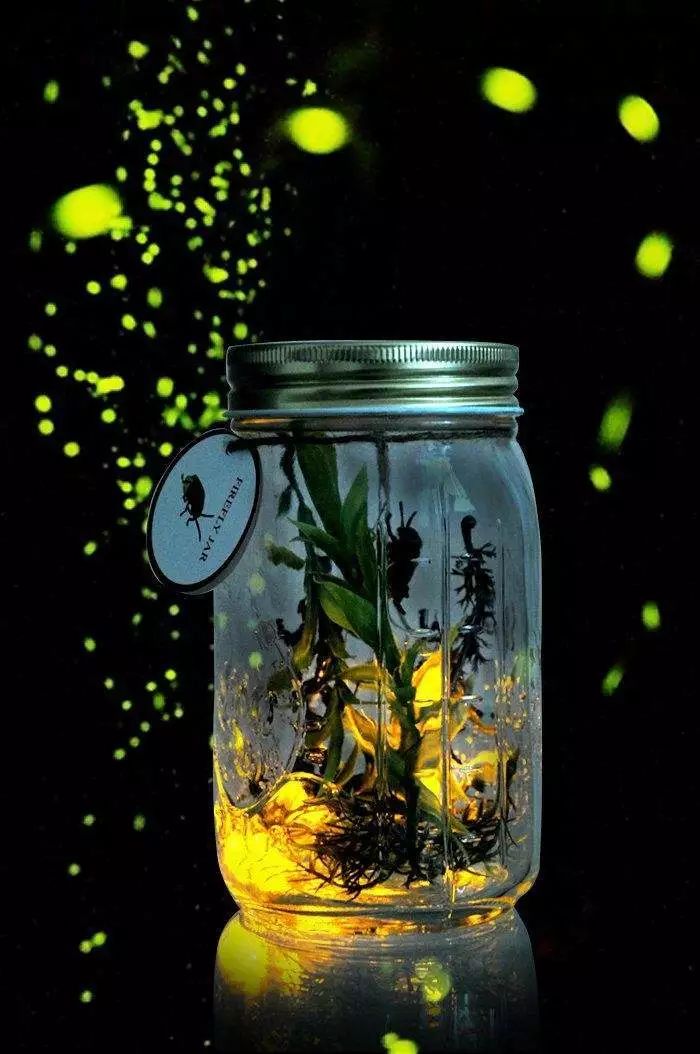 养殖萤火虫，送您一个浪漫的夜晚！萤火虫带火乡村旅游，更让我们懂得保护环境的重要