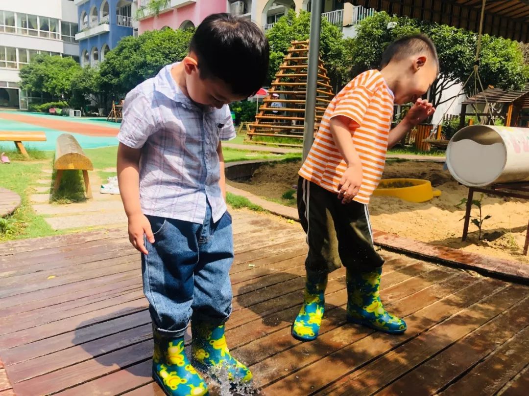 百合花课程,百合花课堂导入