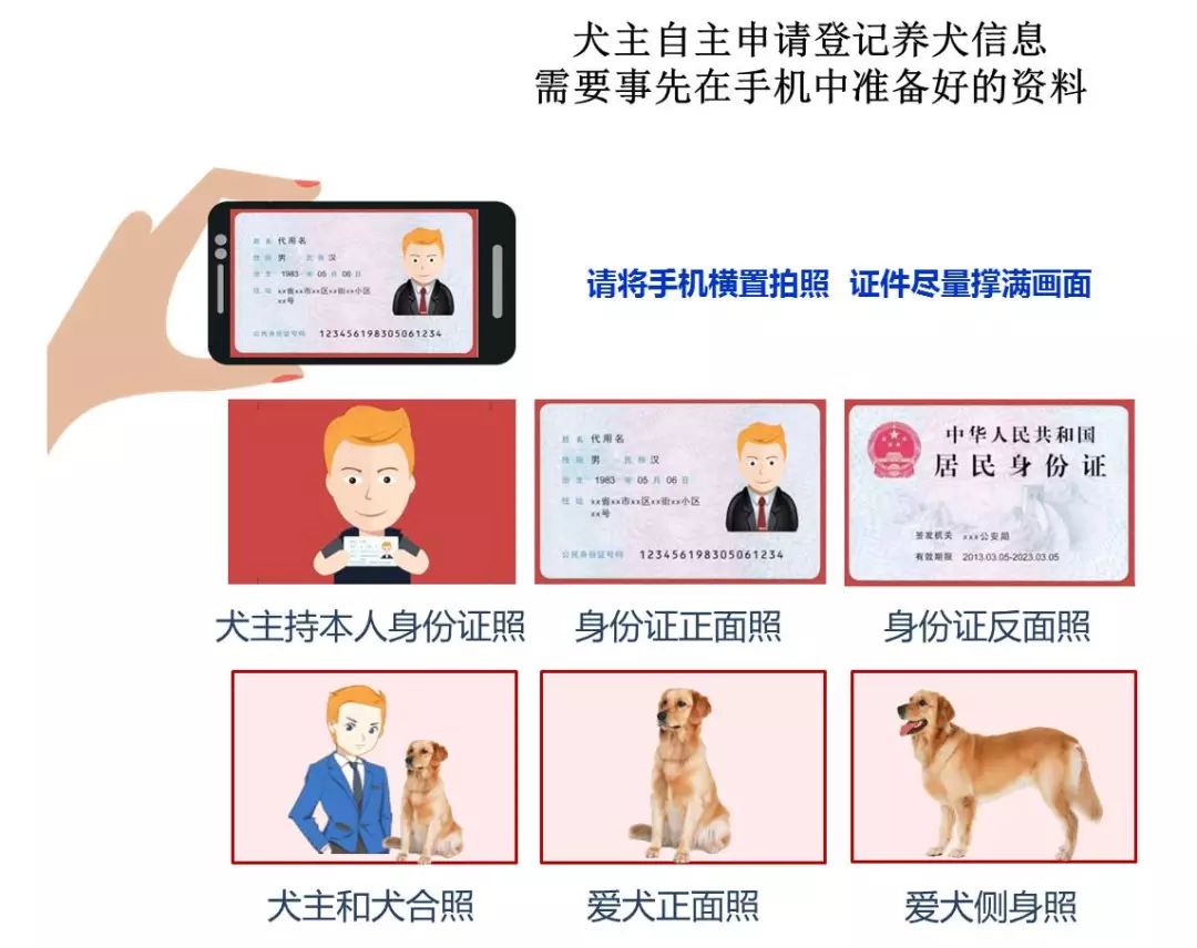 淄博市狗狗怎么办理犬证,不知道自己养的什么狗怎么办狗证