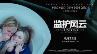 监护风云剧情详细介绍,监护风云普通话电影完整版