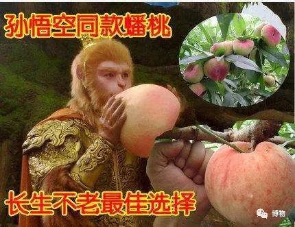 桃子煮米饭，你猜是不是黑暗料理？
