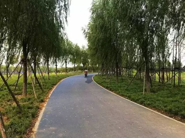 郑州湿地公园有啥好玩的,郑州周边的这七大湿地公园