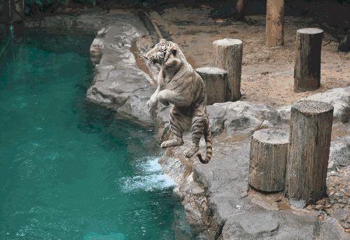 长隆暑期特惠,长隆特惠游九月