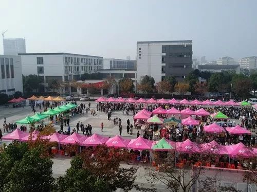 【元培欢迎您|专业巡礼】电子商务类：网商时代营销你我