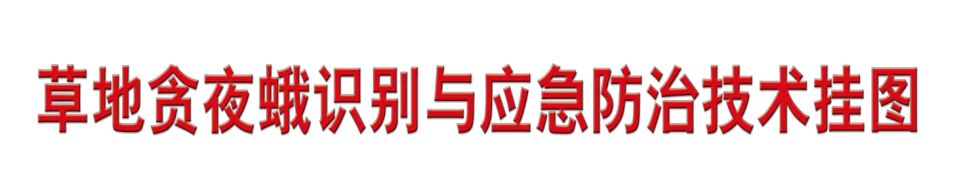 草地贪夜蛾识别与应急防治技术挂图