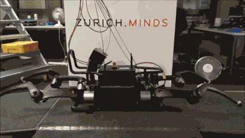 破冰行动|词缀Ped-的那些事