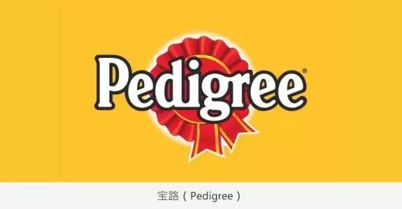 破冰行动|词缀Ped-的那些事