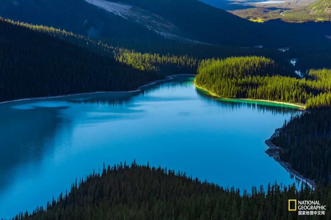 这10件事摄影新手一定要懂,对于热爱摄影的你来说最大的遗憾