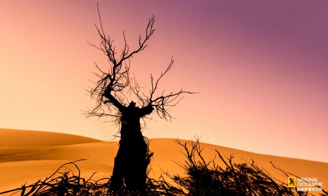 这10件事摄影新手一定要懂,对于热爱摄影的你来说最大的遗憾