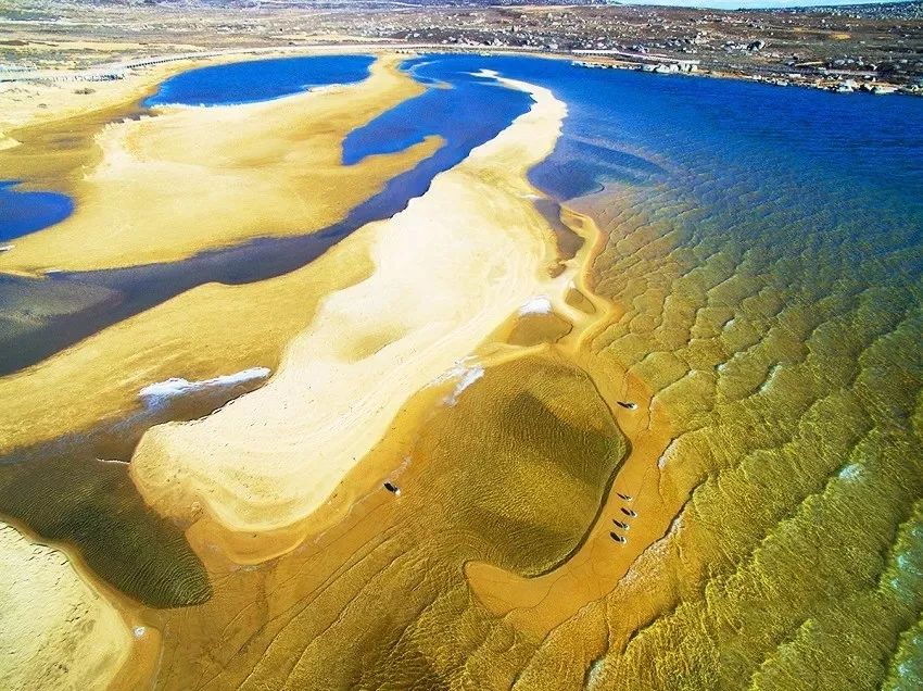 韩国麻辣烫哪里最好吃,成都最火麻辣烫都有哪些