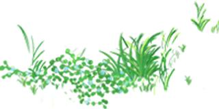 【城事】骄傲+1,河北日报专题报道鹿泉这个乡镇!