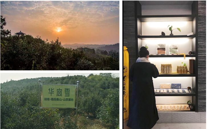 听说90后已经开始脱发了,听说第一批90后已经开始脱发了