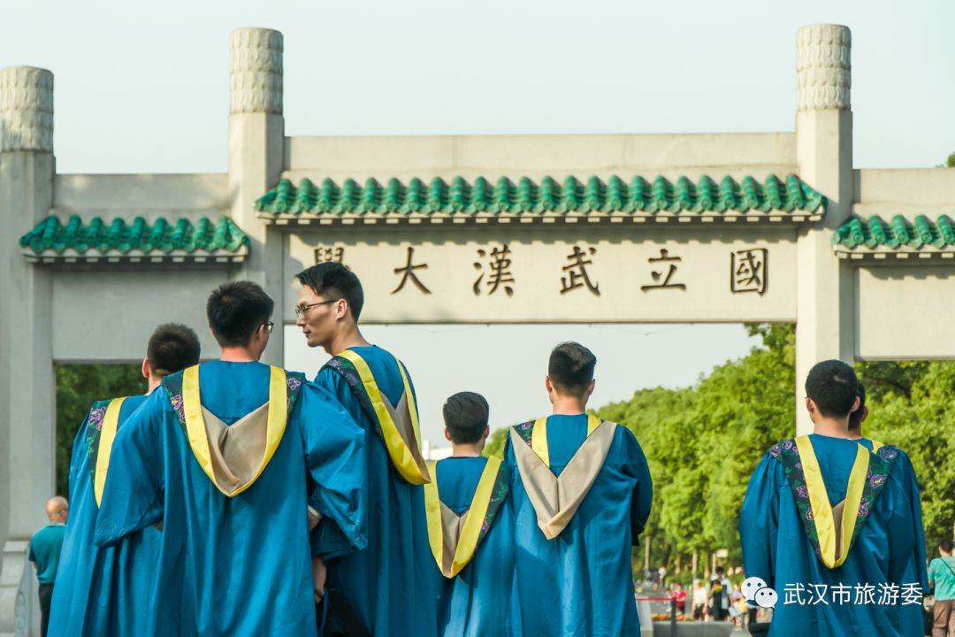 来武汉读书第一年,来武汉上大学的理由