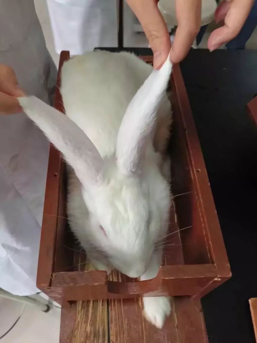 毕业季这就是青春最美的样子,毕业季好看女孩