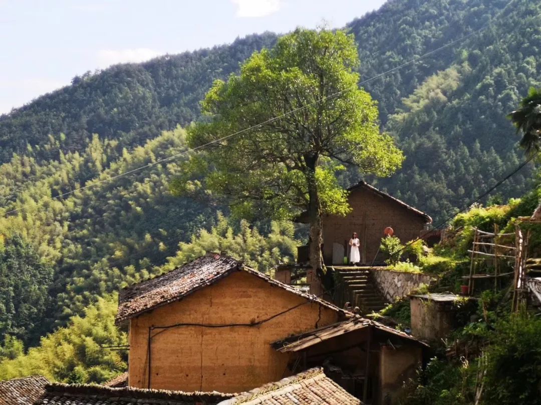 江浙沪适合度假的酒店,江浙沪周边度假酒店亲子游