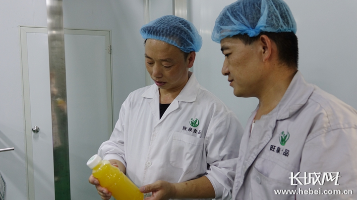 巨鹿：老“三宝”翻出新花样