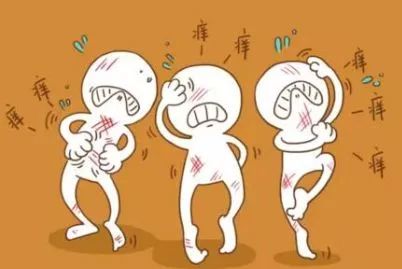 一夏季皮肤病轮番上阵如何应对,皮肤病如何避免