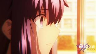 命运之夜天之杯迷失之蝶剧场版,命运之夜天之杯2迷失之蝶樱花