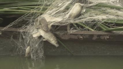 夏邑县美丽乡村介绍,美丽乡村之全景地图夏邑