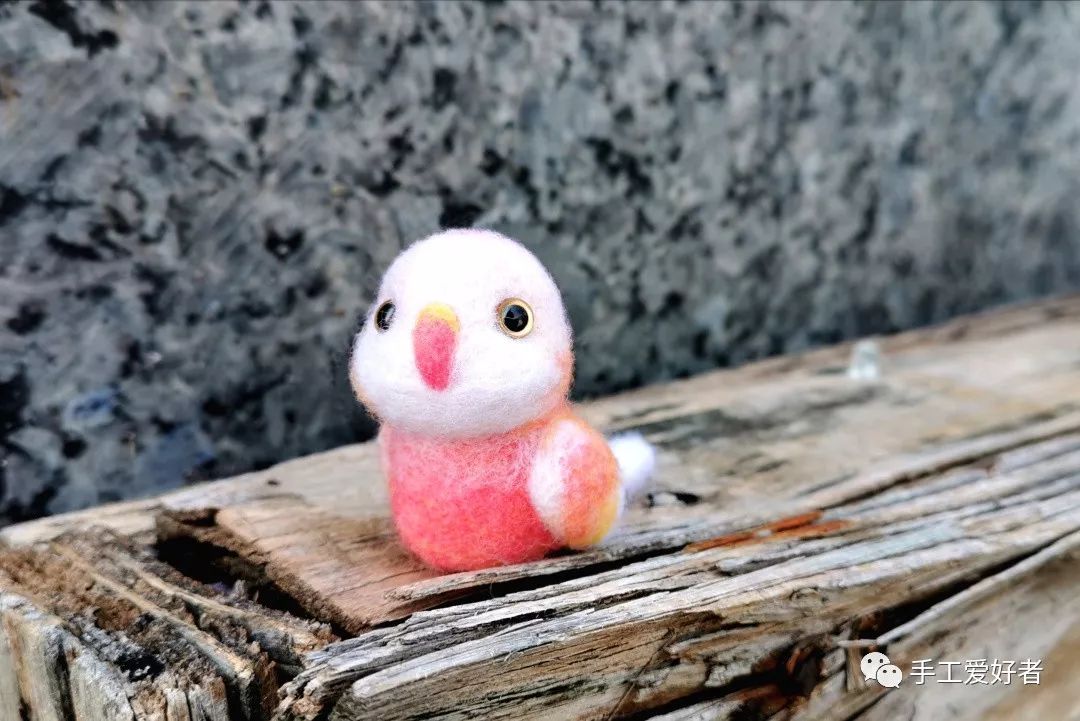 一只鹦鹉的训练过程,怎么快速教小鹦鹉自己吃