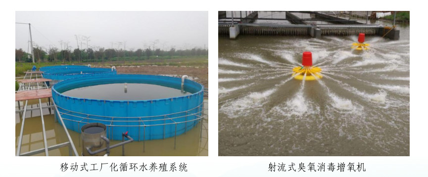 规模化水产养殖业基地的建设,打造国家级畜牧水产品基地