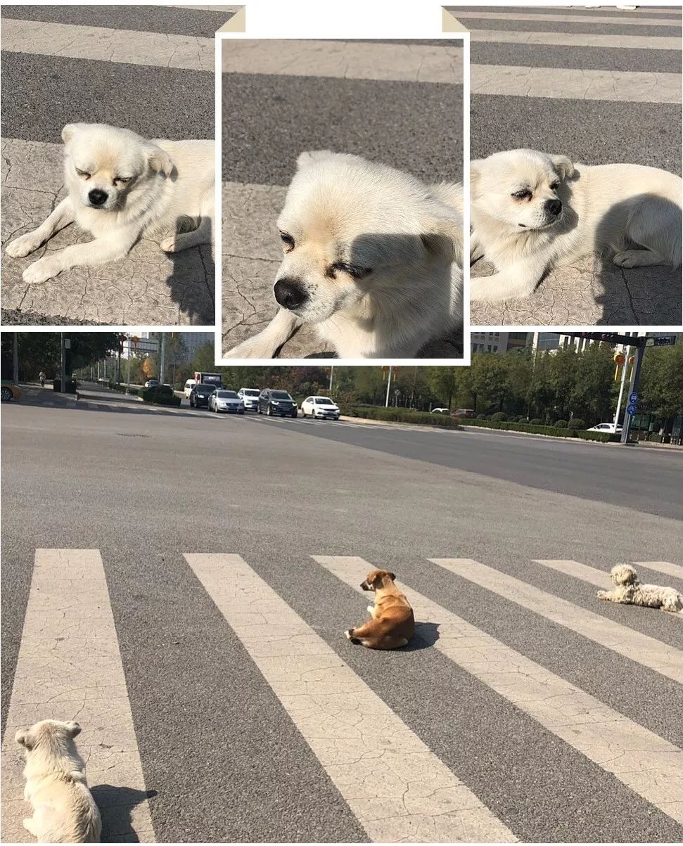 交大城院图片,交大城院在哪里