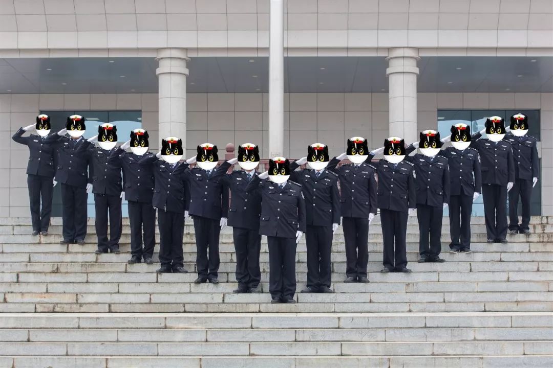 基层支部战斗堡垒,禁毒大队党支部开展学习