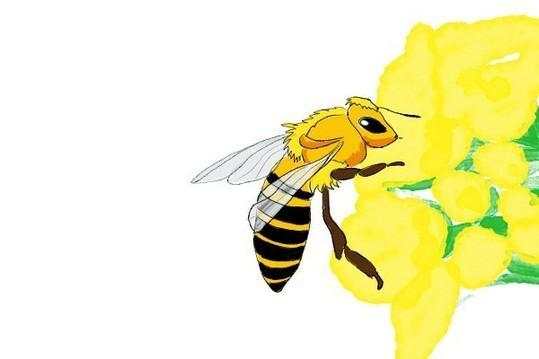 蜂王浆,你吃对了吗?