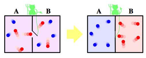 大神玩捉妖记,专业捉妖大师