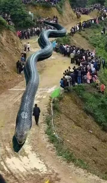 娣勫崥缃戜笂鏁ｅ竷璋ｈ█,娣勫崥璋ｈ█