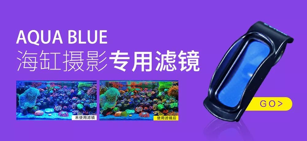 一周才打理一次的90骨缸，这状态我不信