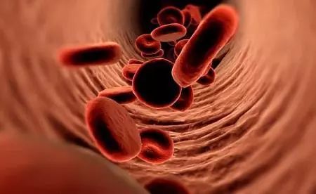 血液循环差怎么调理,血液循环不好容易引起哪些疾病