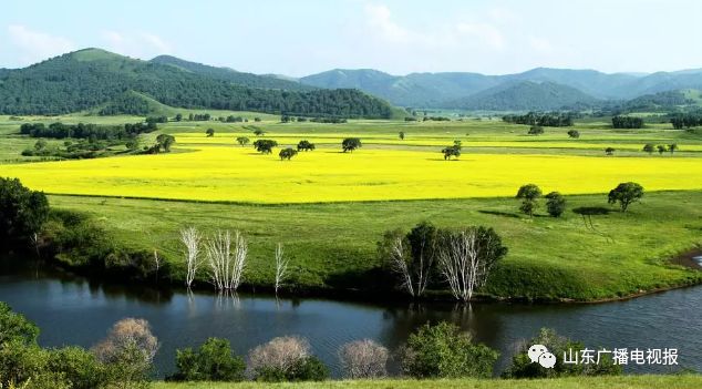 文末有福利|山东广电草原夏令营推出亲子营，8月带娃一起嗨