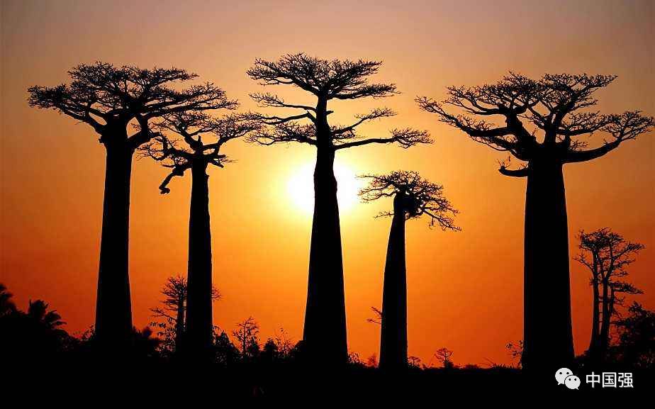 马达加斯加不可思议的旅行,马达加斯加自然景观