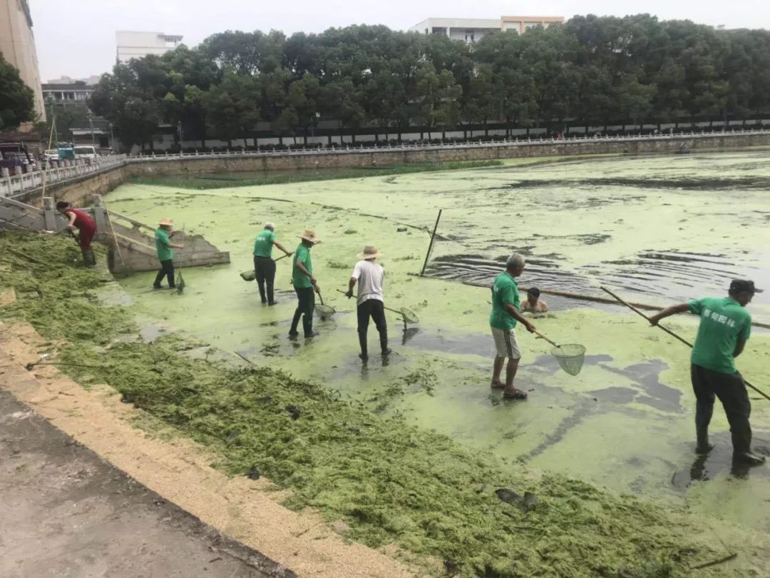 世外桃源武汉,武汉世外桃源旅游攻略