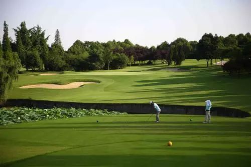 世警会双流,双流民警