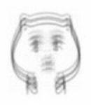 男装周|你看过国产玄幻杂志《九州幻想》么？最近都在搞这种未来修行