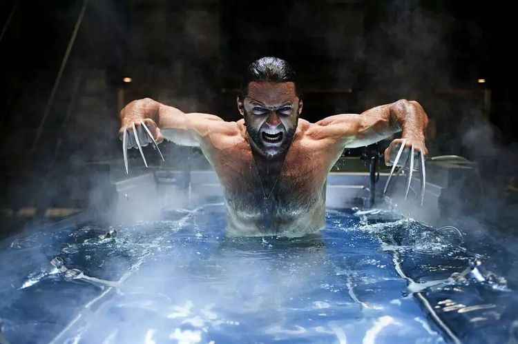 暮狼归乡金刚狼为什么杀浩克,对金刚狼的真实评价