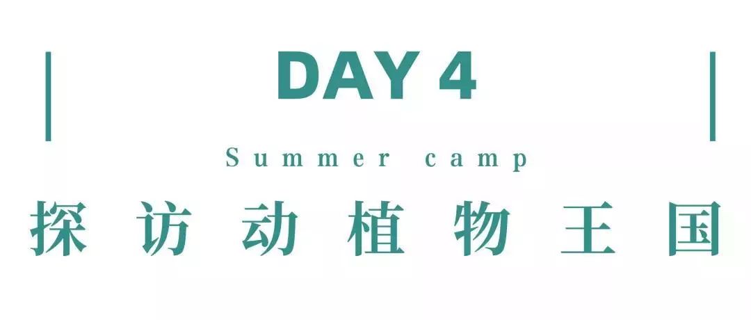 来西双版纳，做大自然的学生|雅居乐·西双林语夏令营开始报名啦